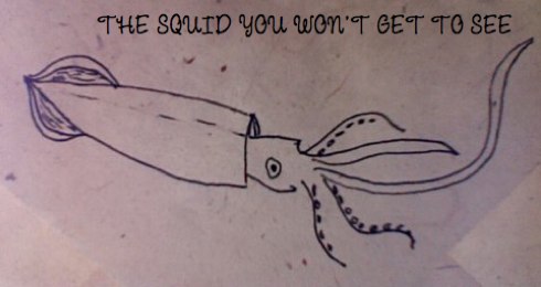 squid-you-won_t-get-to-see-1