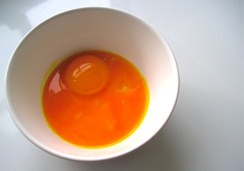 egg-yolks