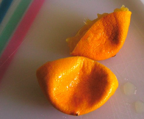 meyer-lemon meyer-lemon