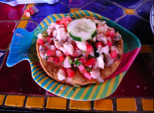 salsalito-ceviche