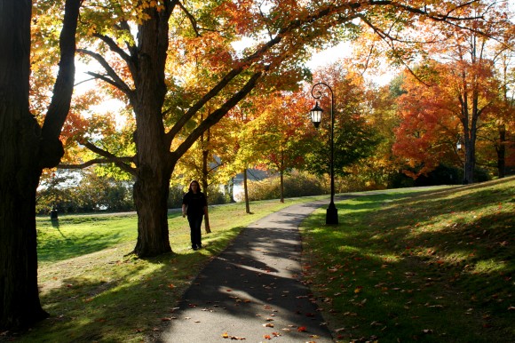 wellesley fall