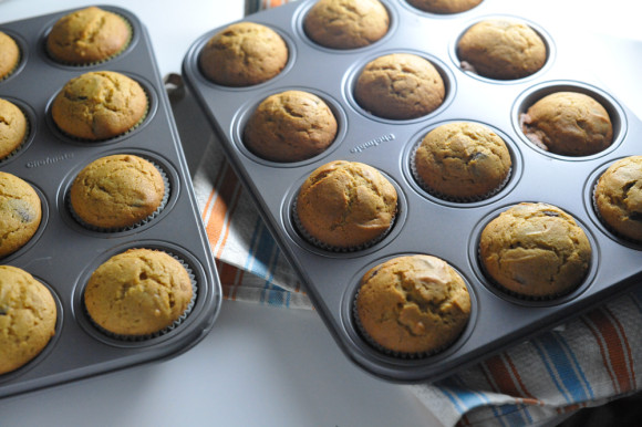 Pumpkin Chocolate Chip Muffins