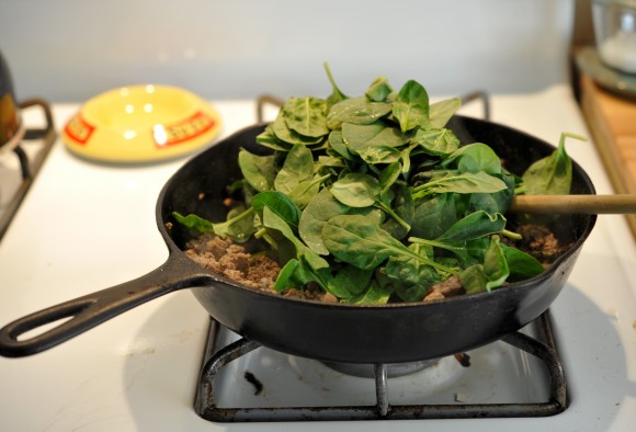 Emergency Protein Spinach