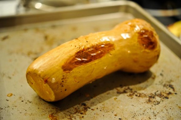 Butternut squash