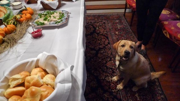 Cooper wants Gefilte Fish