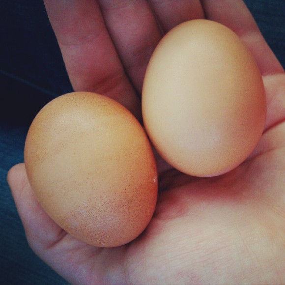 Eggs