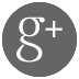 Google-Plus-Link