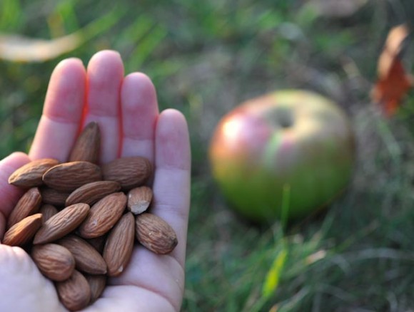 handful of almonds