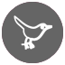 Twitter-Link-to-Alphaprep