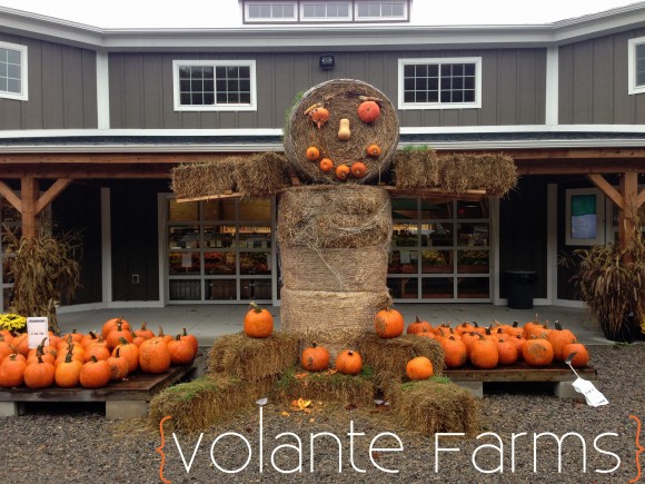 Volante Farms-1