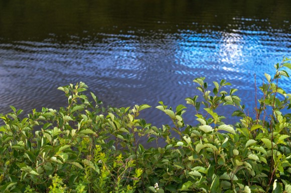 Water North Conway