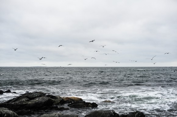 Portsmouth Harbor