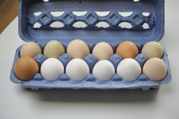 Fresh Eggs