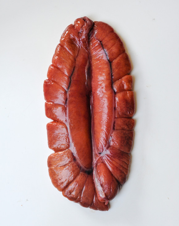 Shad Roe Sac