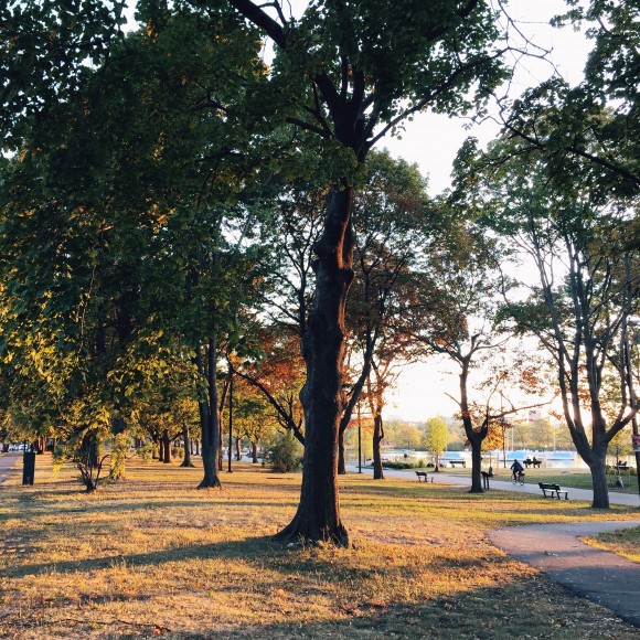 charles river esplanade