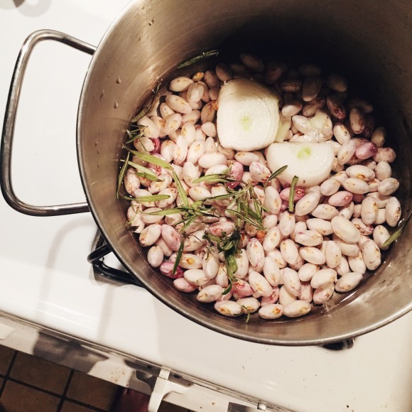 cranberry beans