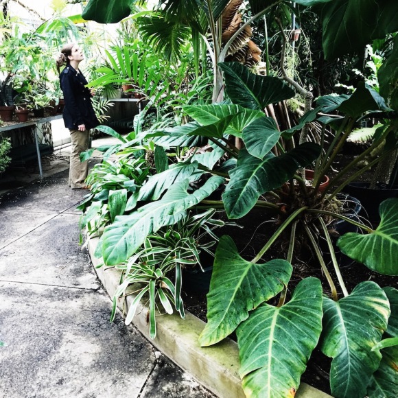 Wellesley College Greenhouse