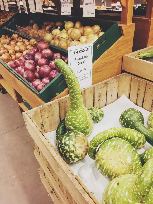 gourd season volante farms