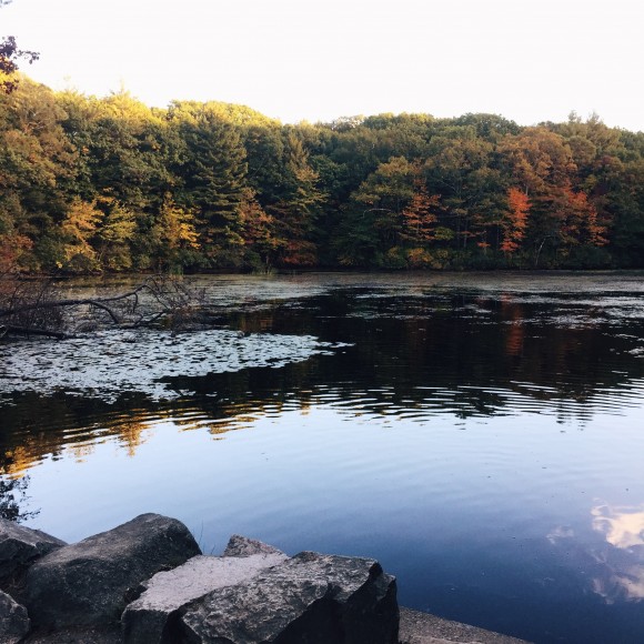 noanet woods lake