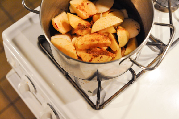 Applesauce on the Stove