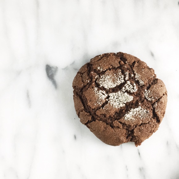 Bakesale Betty Ginger Molasses Cookies