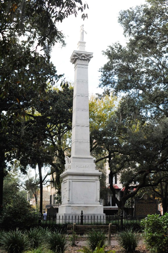 Pulaski Savannah
