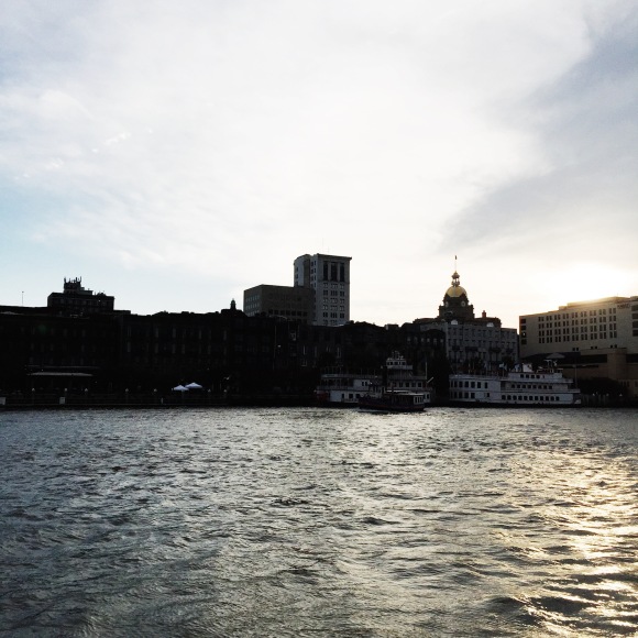 Savannah in the late afternoon