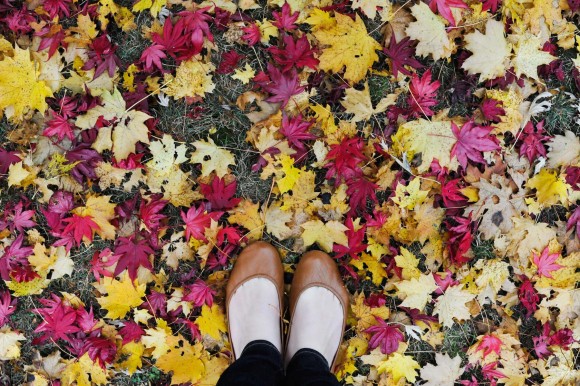 Tieks and the Japanese Maple