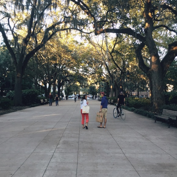 Tree Lined Savannah