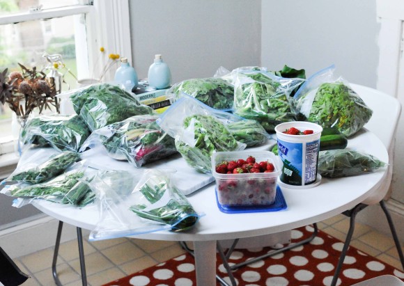 Stearns Farm CSA June Haul