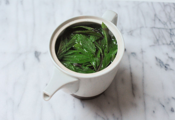 A pot of mint tea