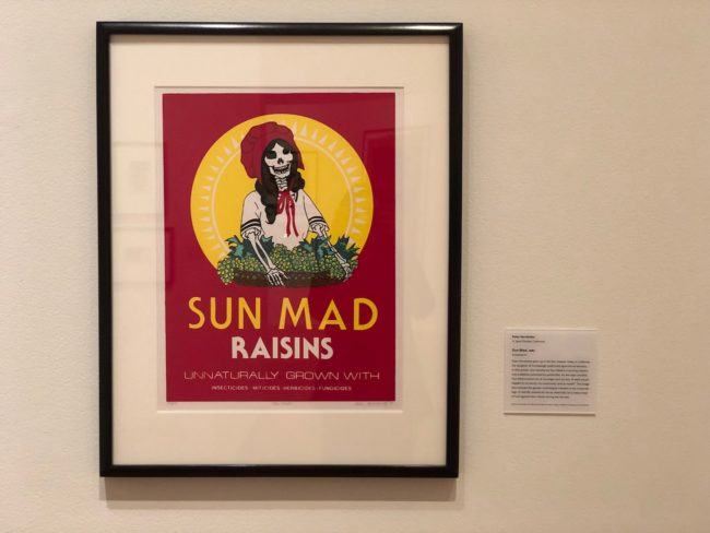 the second lunch the davis museum sun mad ester hernandez