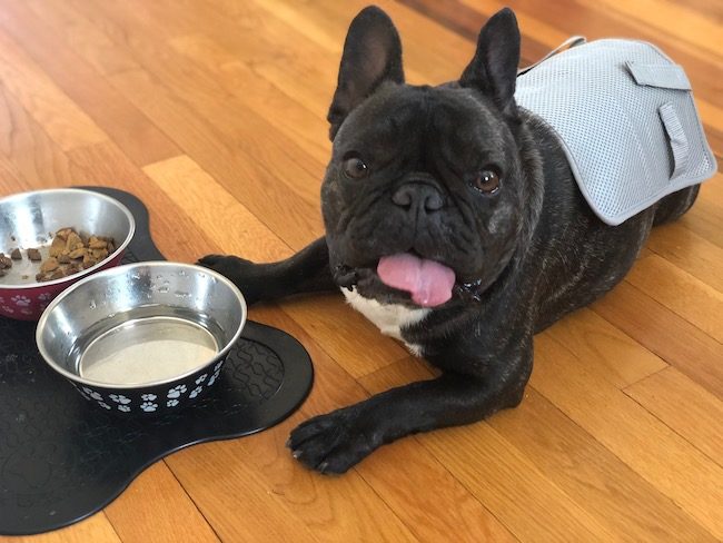 bertram cooling off the second lunch