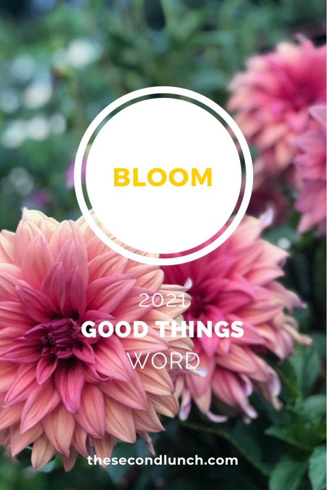 Good Things 2021 Word of the Year Bloom on flowers on the Second Lunch