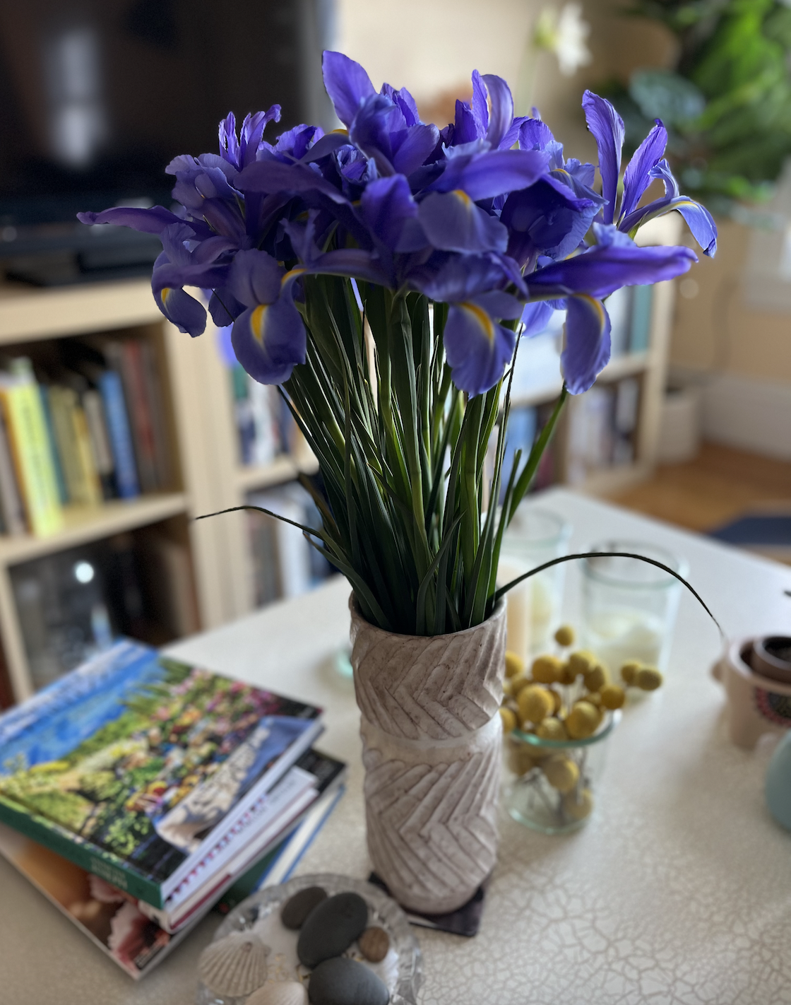 a bouquet of irises on a coffee table in a tall vase